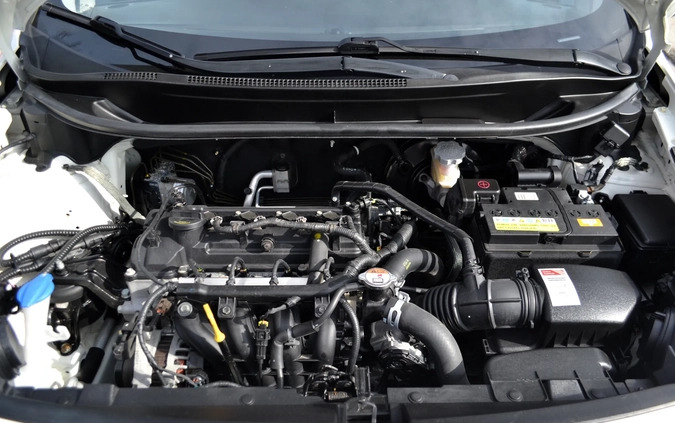 Kia Rio cena 28900 przebieg: 171000, rok produkcji 2014 z Chorzów małe 137